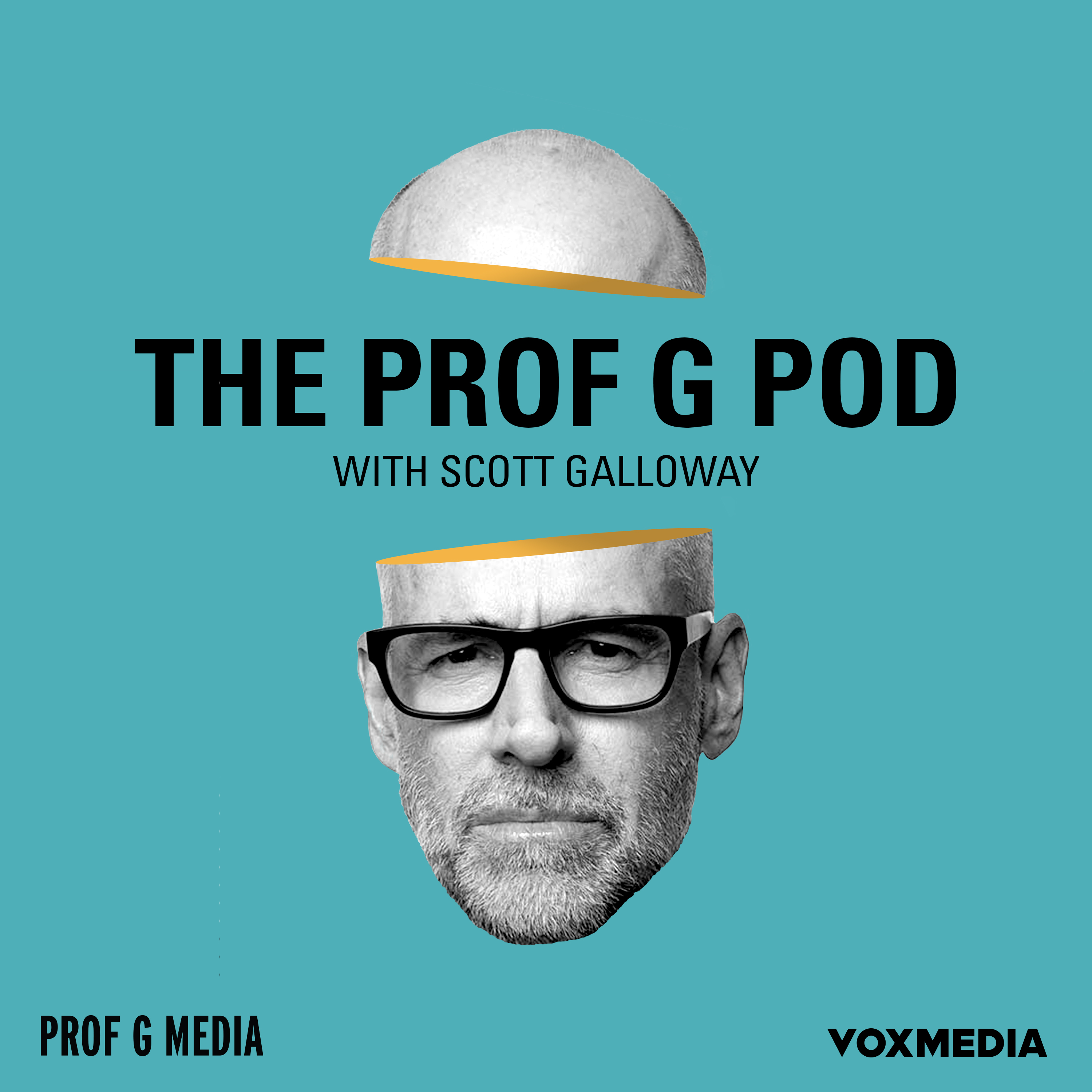 ProfGPod 3000x3000 Vox